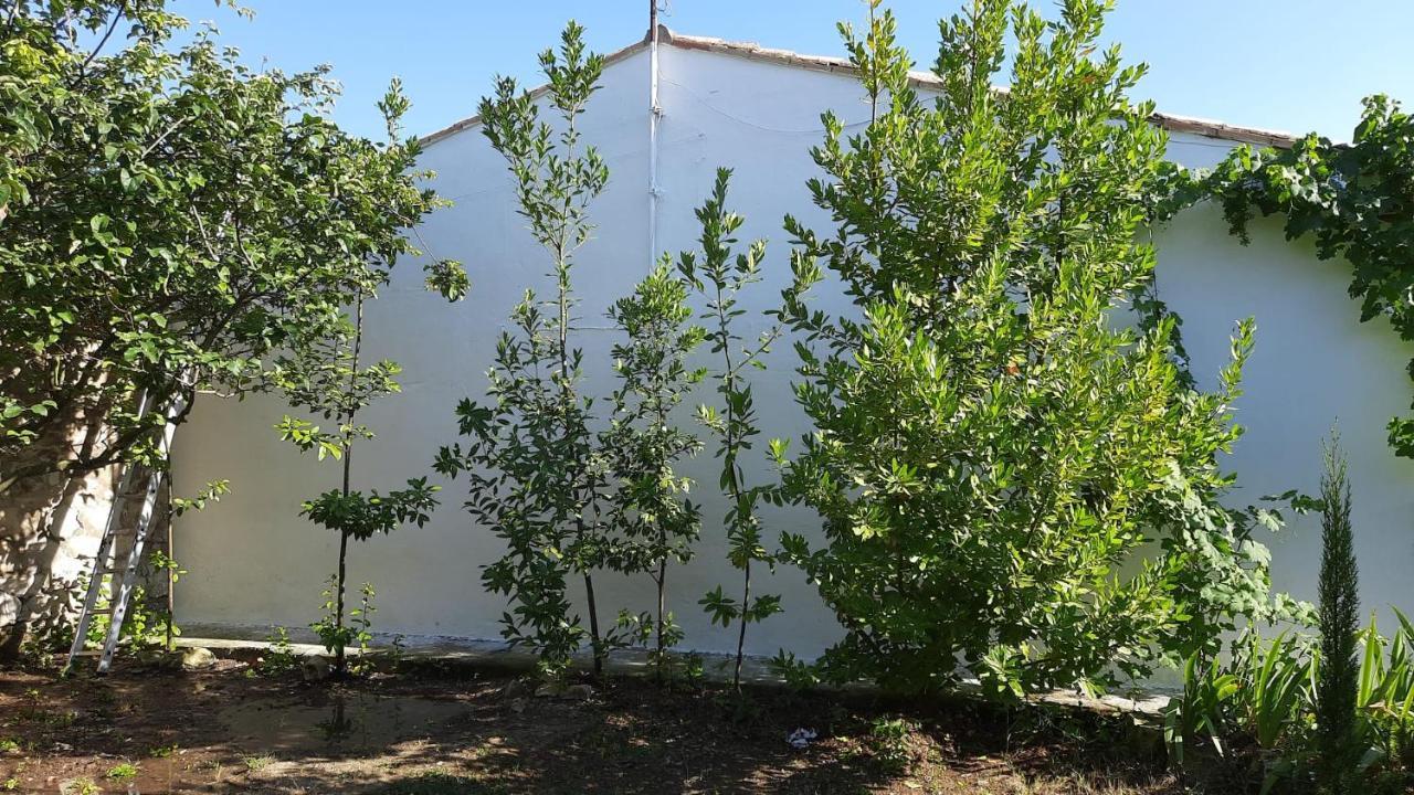 Casa Junto Al Parque Natural De Las Bardenas Sádaba Zewnętrze zdjęcie